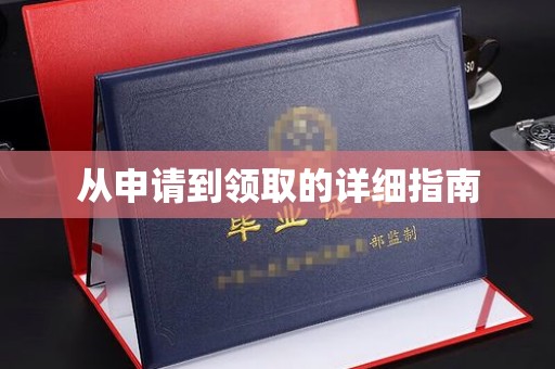 阳东从申请到领取的详细指南