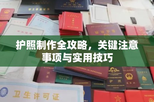 阳东护照制作全攻略，关键注意事项与实用技巧