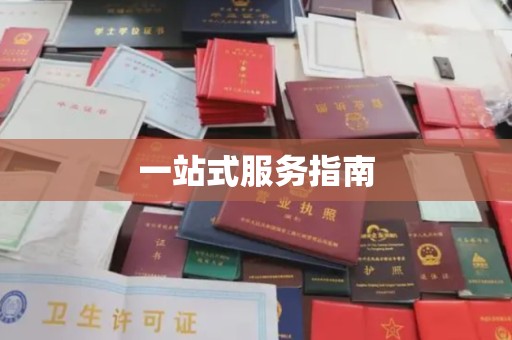 阳东一站式服务指南