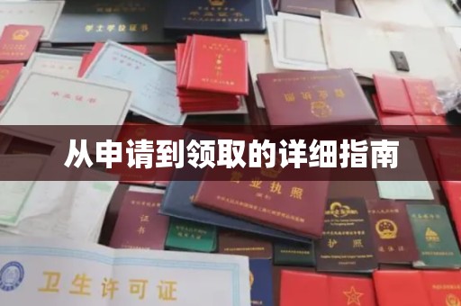 阳东从申请到领取的详细指南