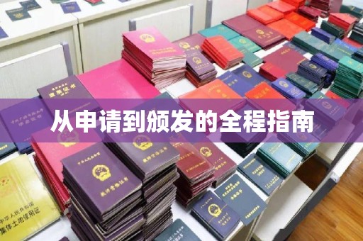 阳东从申请到颁发的全程指南