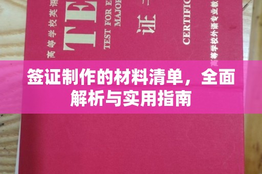 阳东签证制作的材料清单，全面解析与实用指南