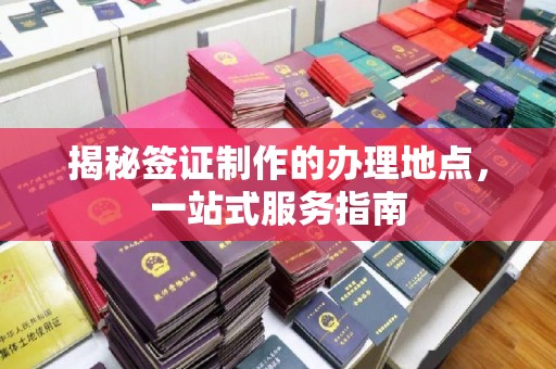 阳东揭秘签证制作的办理地点，一站式服务指南