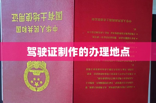 阳东驾驶证制作的办理地点