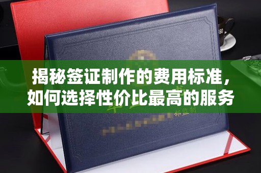 阳东揭秘签证制作的费用标准，如何选择性价比最高的服务？
