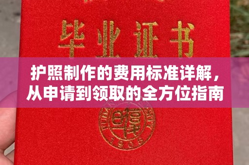 阳东护照制作的费用标准详解，从申请到领取的全方位指南