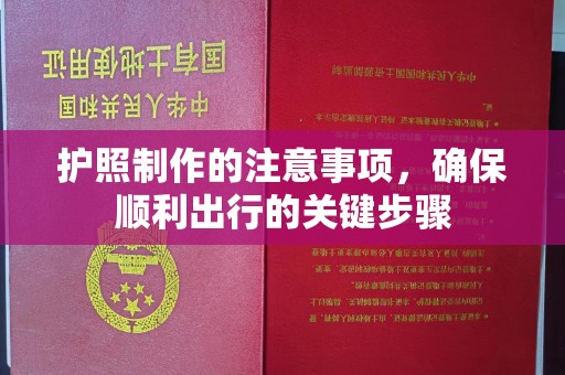 阳东护照制作的注意事项，确保顺利出行的关键步骤
